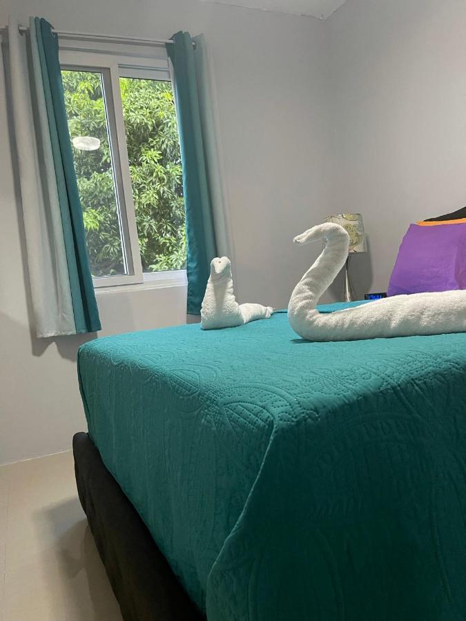 Jamrock Suites Kingston Luaran gambar